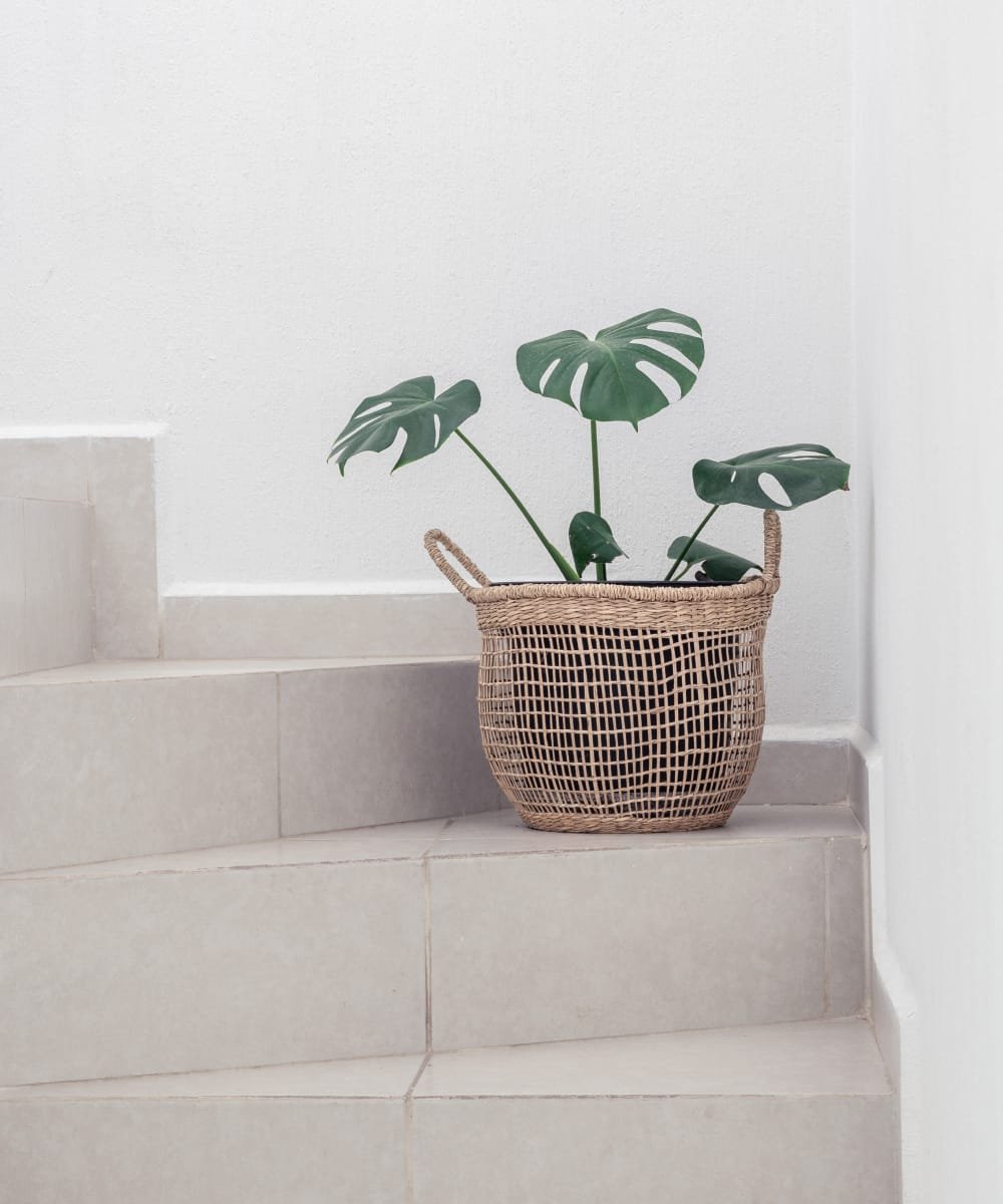 Concrete Soap Dispenser - Image 2